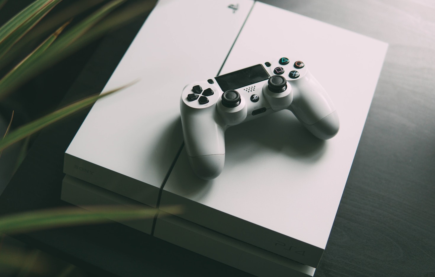 Why I Love Creating Interactive Experiences